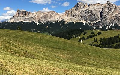 AltaBadia_Summer_Social (55)
