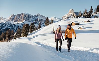 Special offer winter
